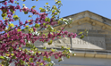 Utilizing the College Estate Planning Specialist...